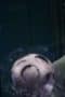 daLuedUIJKNmQBjXBccU46XF1Do